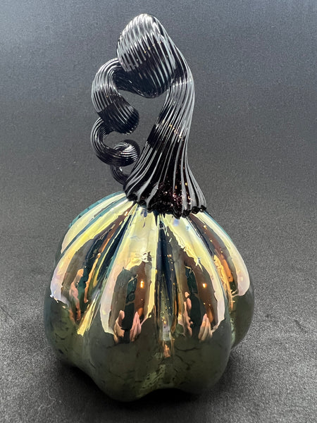 Shiny Black Pumpkin