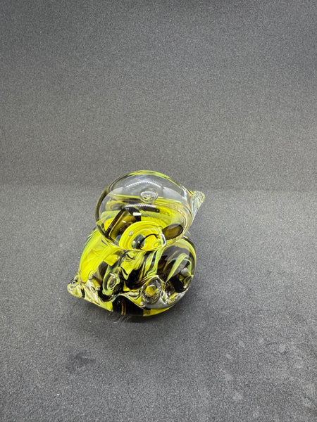 Black and Yellow Bird