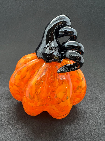 Black and Orange Pumpkin