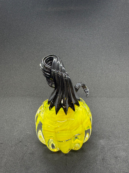 Black and Yellow Pumpkin