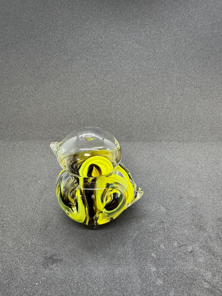 Black and Yellow Bird