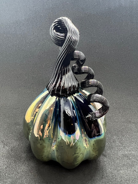 Shiny Black Pumpkin