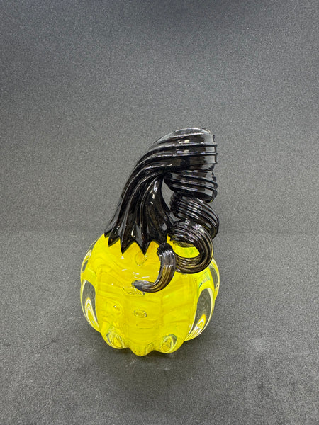 Black and Yellow Pumpkin