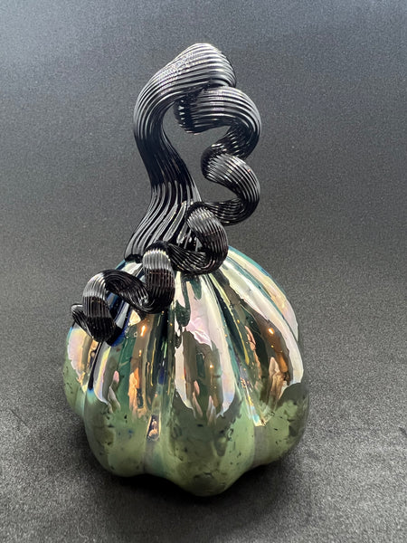 Shiny Black Pumpkin