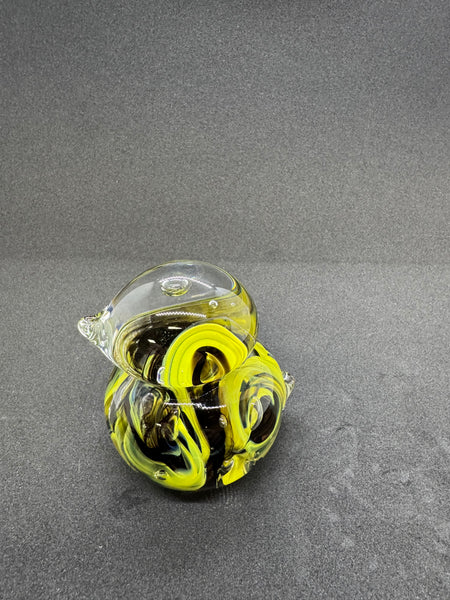 Black and Yellow Bird