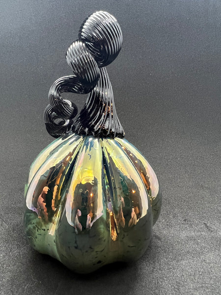 Shiny Black Pumpkin