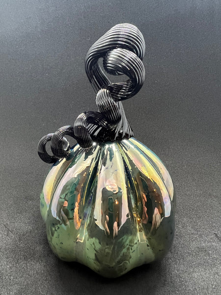 Shiny Black Pumpkin